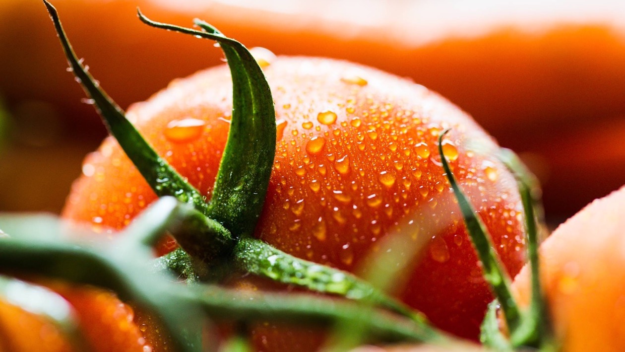 Mangiare carne fa davvero così male? I numeri parlano chiaro